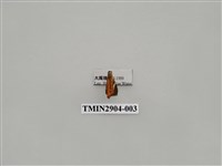 藏品(尺蛾653)的圖片